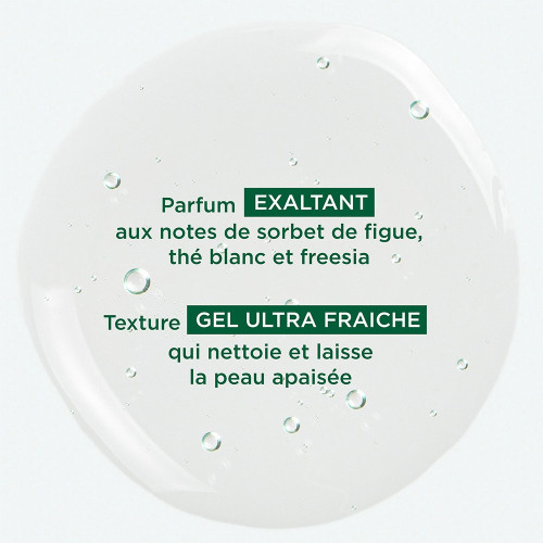 Crème Douche Klorane Feuille de Figuier 200ml - Hydratation Intense