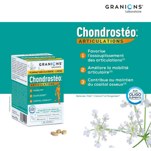 GRANIONS Chondrostéo+ 90 Comprimés - Souplesse Articulaire