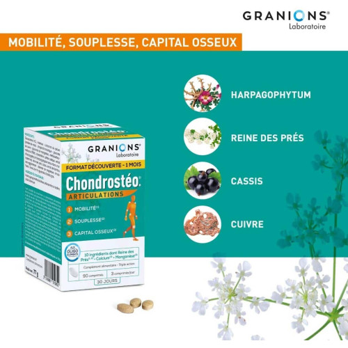 GRANIONS Chondrostéo+ 90 Comprimés - Souplesse Articulaire