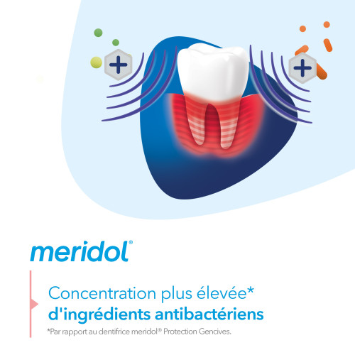 Meridol Parodont Expert 2x75ml - Protection Gencives