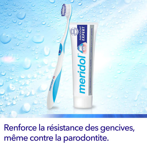 Meridol Parodont Expert 2 Brosses Douces - Nettoyage Profond