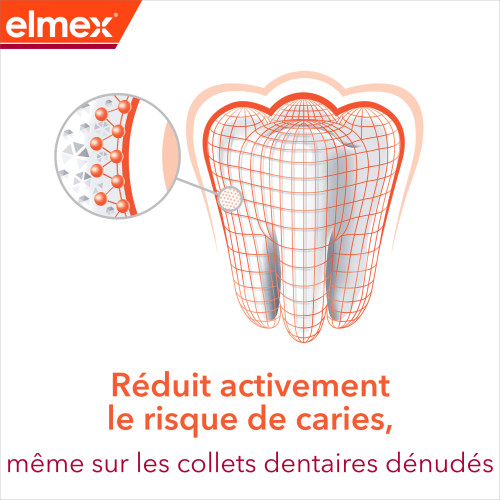 ANTI-CARIES Professional Dentifrice 2 x 100 ml