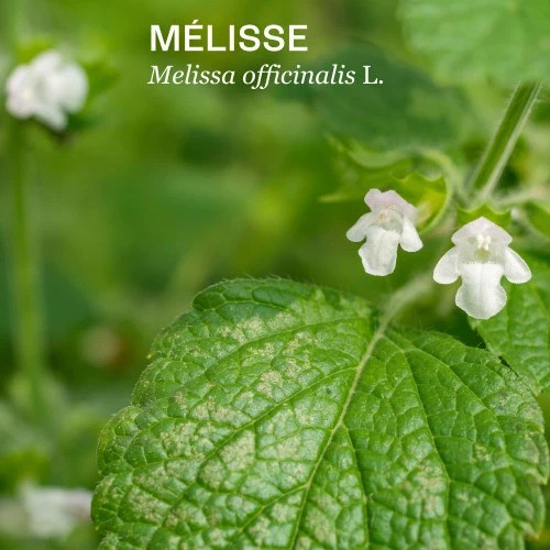 Naturactive Sériane Sommeil 30 Gélules Améliorez Votre Sommeil