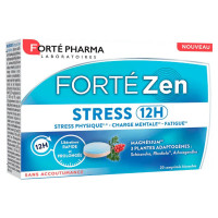 Forté Zen Stress 12H Vitamine B6 Magnésium 20 comprimés bicouches