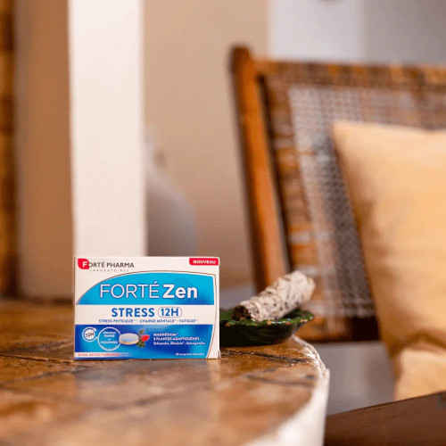 Forté Zen Stress 12H Vitamine B6 Magnésium 20 comprimés bicouches