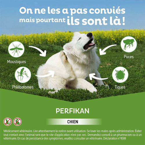 PERFIKAN Anti-Puces Chiens Moyens 10 - 20 Kg