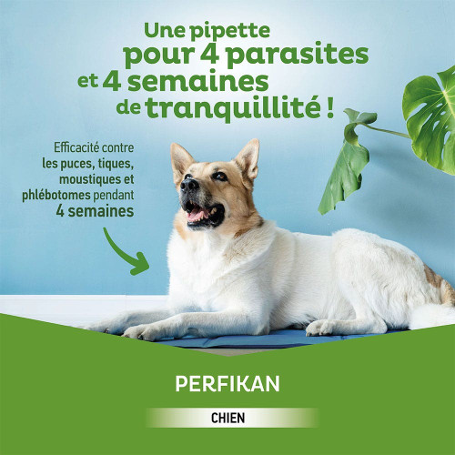 PERFIKAN Anti-Puces Chiens Moyens 10 - 20 Kg