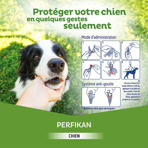 PERFIKAN Anti-Puces Chiens Moyens 10 - 20 Kg