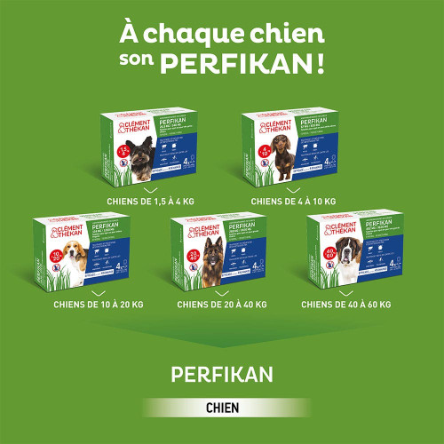 PERFIKAN Anti-Puces Chiens Moyens 10 - 20 Kg