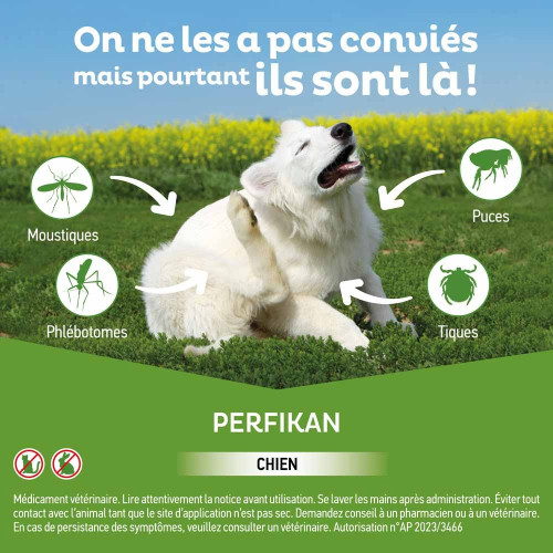PERFIKAN Anti-Puces Petits Chiens 4 - 10 Kg