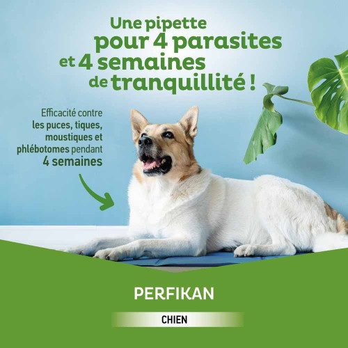 PERFIKAN Anti-Puces Petits Chiens 4 - 10 Kg