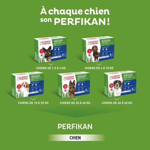 PERFIKAN Anti-Puces Petits Chiens 4 - 10 Kg