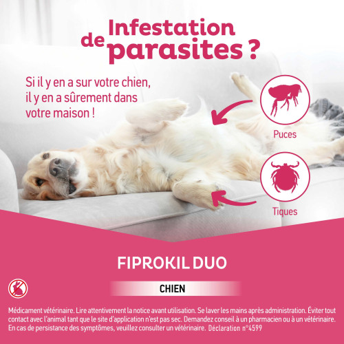 Fiprokil Duo Chien 10-20Kg 4 Pipettes - Anti-puces et tiques
