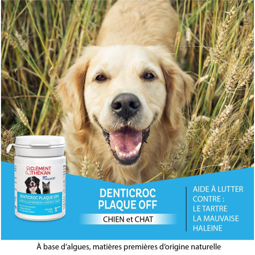 CLEMENT THEKAN Denticroc 40g - Soin dentaire efficace