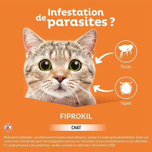 CLEMENT THEKAN Fiprokil 50mg Chat 4 Pipettes - Anti-Puces et Tiques