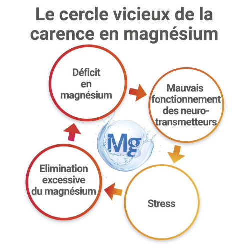 Mag 2 24h Magnesium Marin 120 comprimés