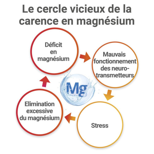 MAG 2 24H Magnésium Marin, Vitamines B6 et B12 - 40 comprimés