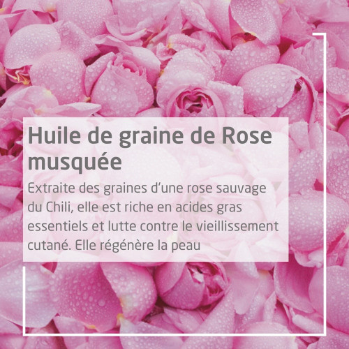 WELEDA Rose Musquée Huile Harmonisante 100ml - Beauté Naturelle sur