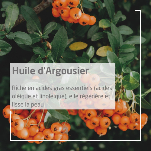 Weleda Argousier Huile Dynamisante 100ml - Revitalise et Nourrit