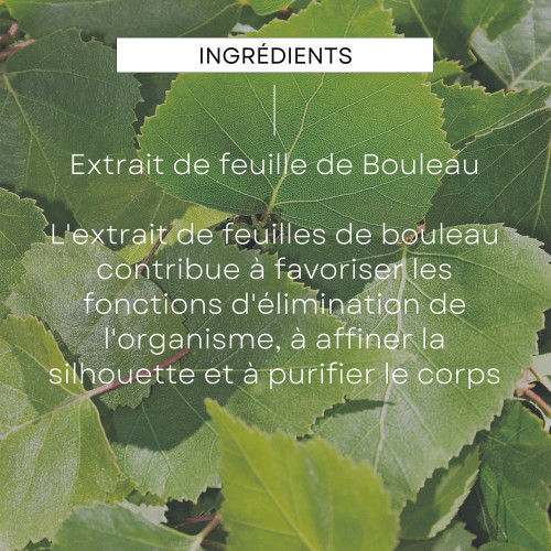 Weleda Huile Massage Minceur Bouleau 100ml - Affine et Raffermit