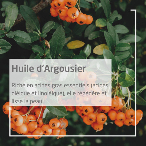 Weleda Déodorant Argousier 50ml - Fraîcheur 24h, Anti-Odeur