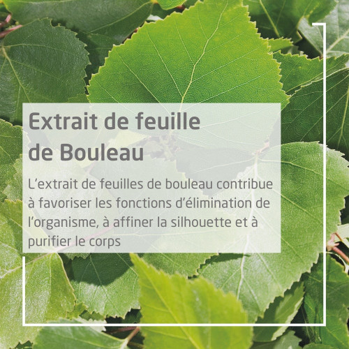 Weleda Crème Douche Gommante Bouleau 150ml - Exfolie en Douceur