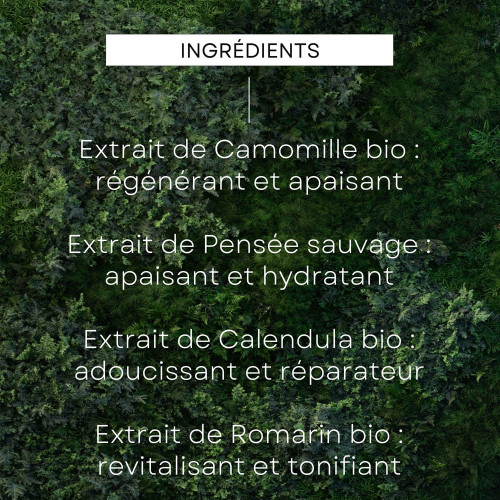 Skin Food Gel Nettoyant Nourrissant 75 ml