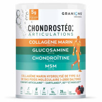 CHONDROSTÉO+ Collagène Marin 280g Articulations Fruits des bois