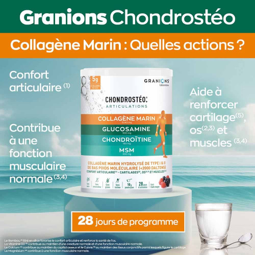 CHONDROSTÉO+ Collagène Marin 280g Articulations Fruits des bois