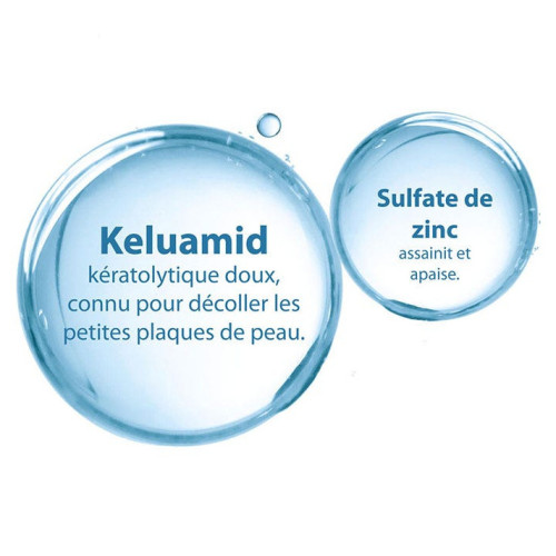 Squanorm Démangeaisons Liées Aux Pellicules 200 ml