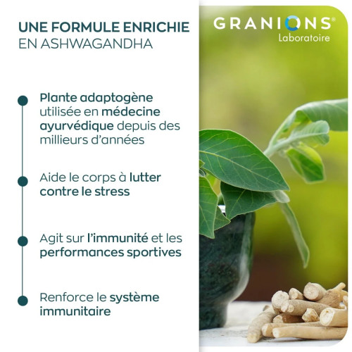 Granions Shilajit 800 mg 60 Gummies Boost Énergie Libido Mémoire