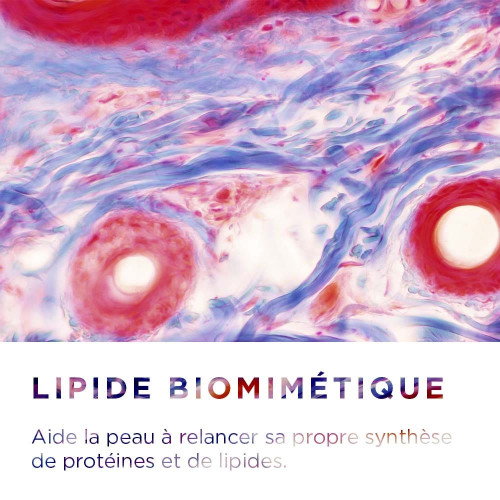 Bioderma Crealine AR+ Crème 40 ml Anti-Rougeurs Hydratant - Pharma360