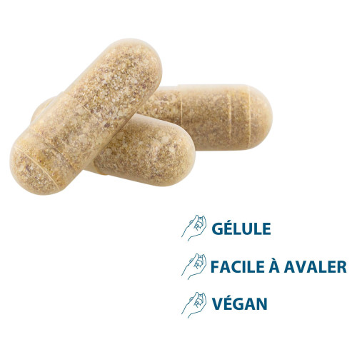 Ducray Anacaps Expert 90 Gélules - Stop Chute Cheveux