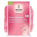 Weleda Tisane Allaitement Bio Fruits Rouges 20 sachets