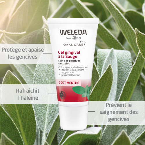 Weleda Gel Gingival Sauge 30ml - Apaise et Renforce Gencives