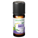 Naturactive Huile Essentielle Lavande Bio 10ml - Pure et Naturelle