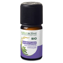 Naturactive Ravintsara Bio 5ml - Antiviral et Stimulant Immunitaire
