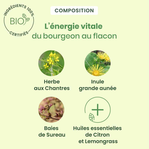 HERBALGEM Sirop des Chantres 150ml - Soin Voix et Cordes Vocales
