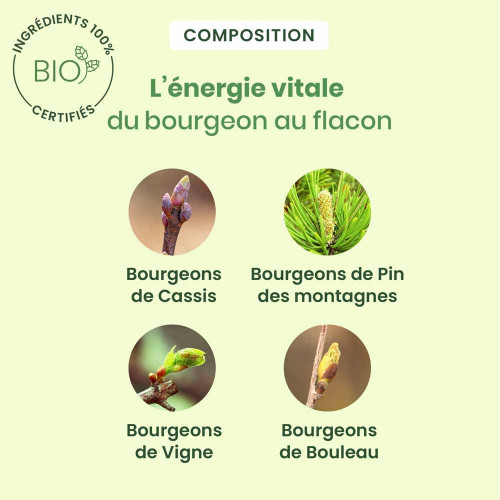 HERBALGEM Artigem Bio 30ml - Souplesse Articulaire et Antioxydant