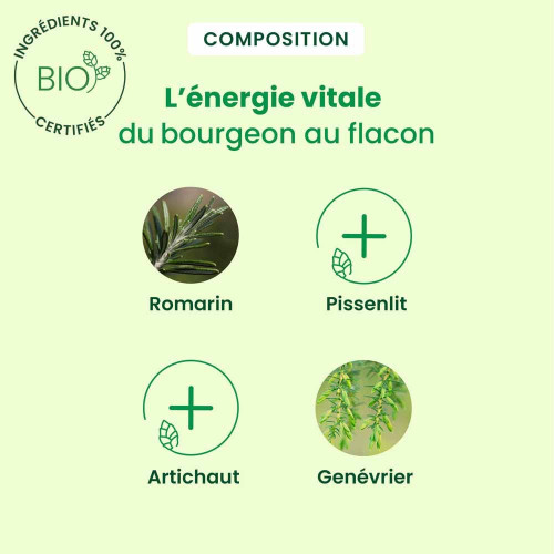 Depuragem Bio HerbalGem 30ml - Élimination Toxines, Soutien Hépatique