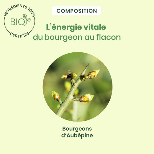 HERBALGEM Aubépine Bio 30ml - Apaisant et Vitalisant