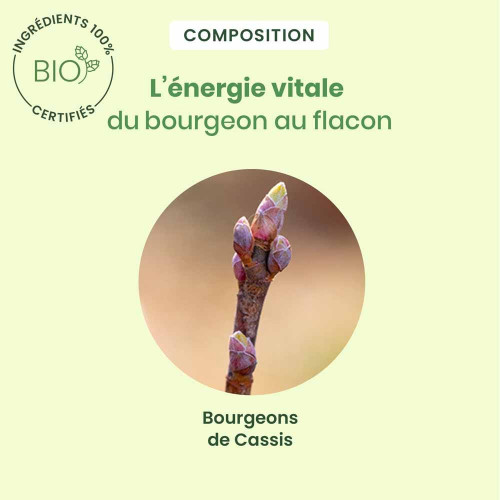 HERBALGEM Cassis Bio 30ml - Boostez votre organisme avec