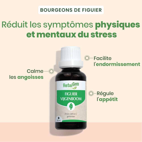 HerbalGem Figuier Bio 30ml pour Digestion et Repos Sain