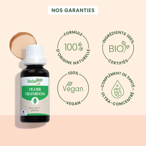 HerbalGem Figuier Bio 30ml pour Digestion et Repos Sain