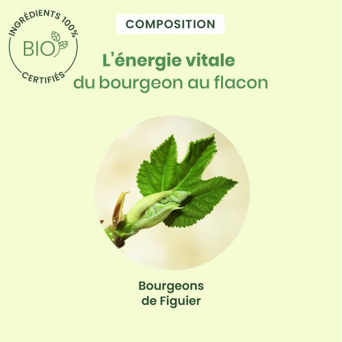 HerbalGem Figuier Bio 30ml pour Digestion et Repos Sain