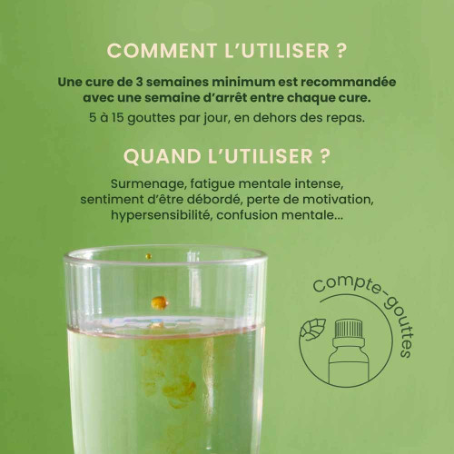HERBALGEM Energem Bio 30ml - Boost Énergie Mentale et Physique