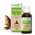 HerbalGem Marronnier Bio 30ml - Circulation et Peau Saine