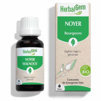 HERBALGEM Bio Noyer 30ml - Soutien Intestinal et Défense