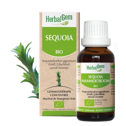 HERBALGEM Bio Sequoia 30ml - Fortifie Os, Tonifiant