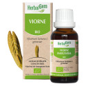 HerbalGem Viorne Bio 30ml - Apaise Voies Respiratoires